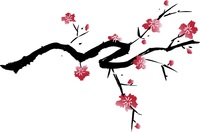 Cherry Blossom Branch Illustration